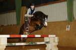 Kl.Lord, schickes Welshpony Kl.Lord, schickes Welshpony