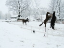 Winterspiele Winterspiele